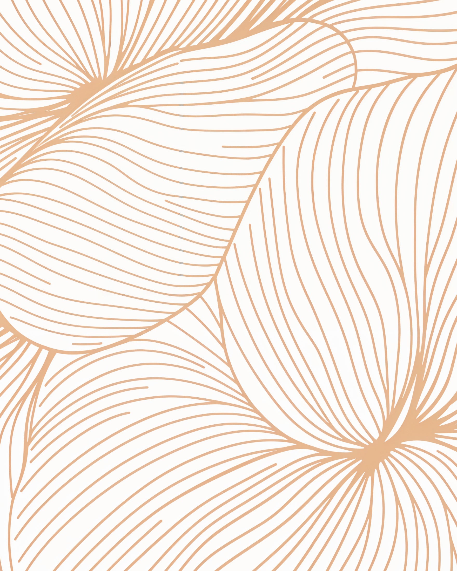 Floral design, elegant print – Abstract artwork – Wall art print