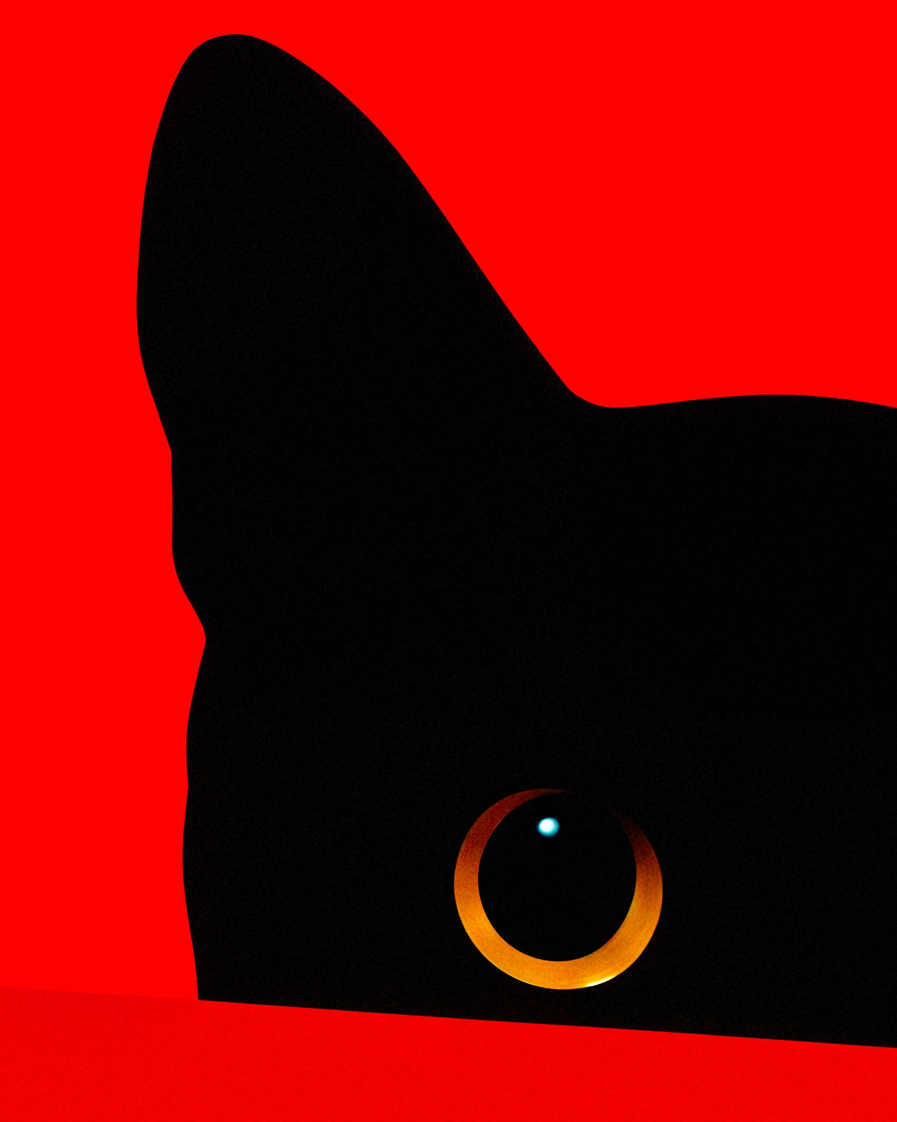 Cat behind a red wall - Poster