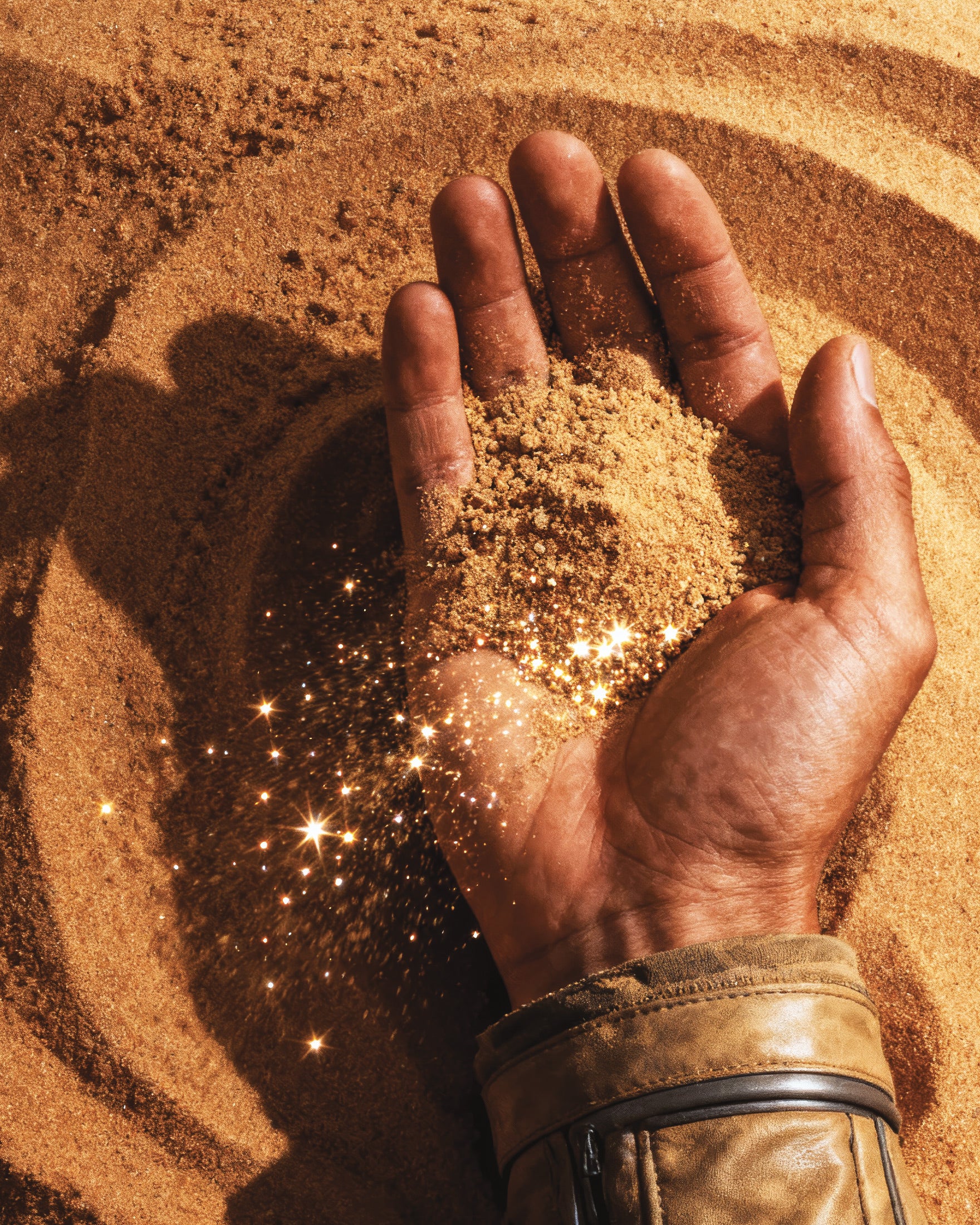Desert Hand Poster