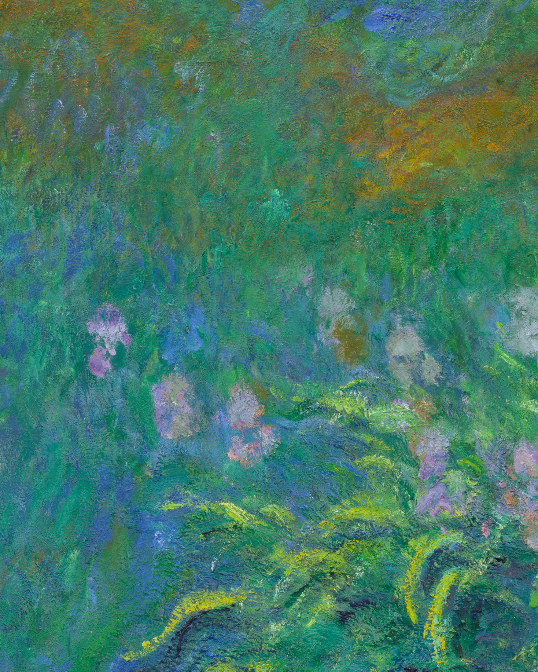 Claude Monet Iris - Art Print for Your Kiwi Home