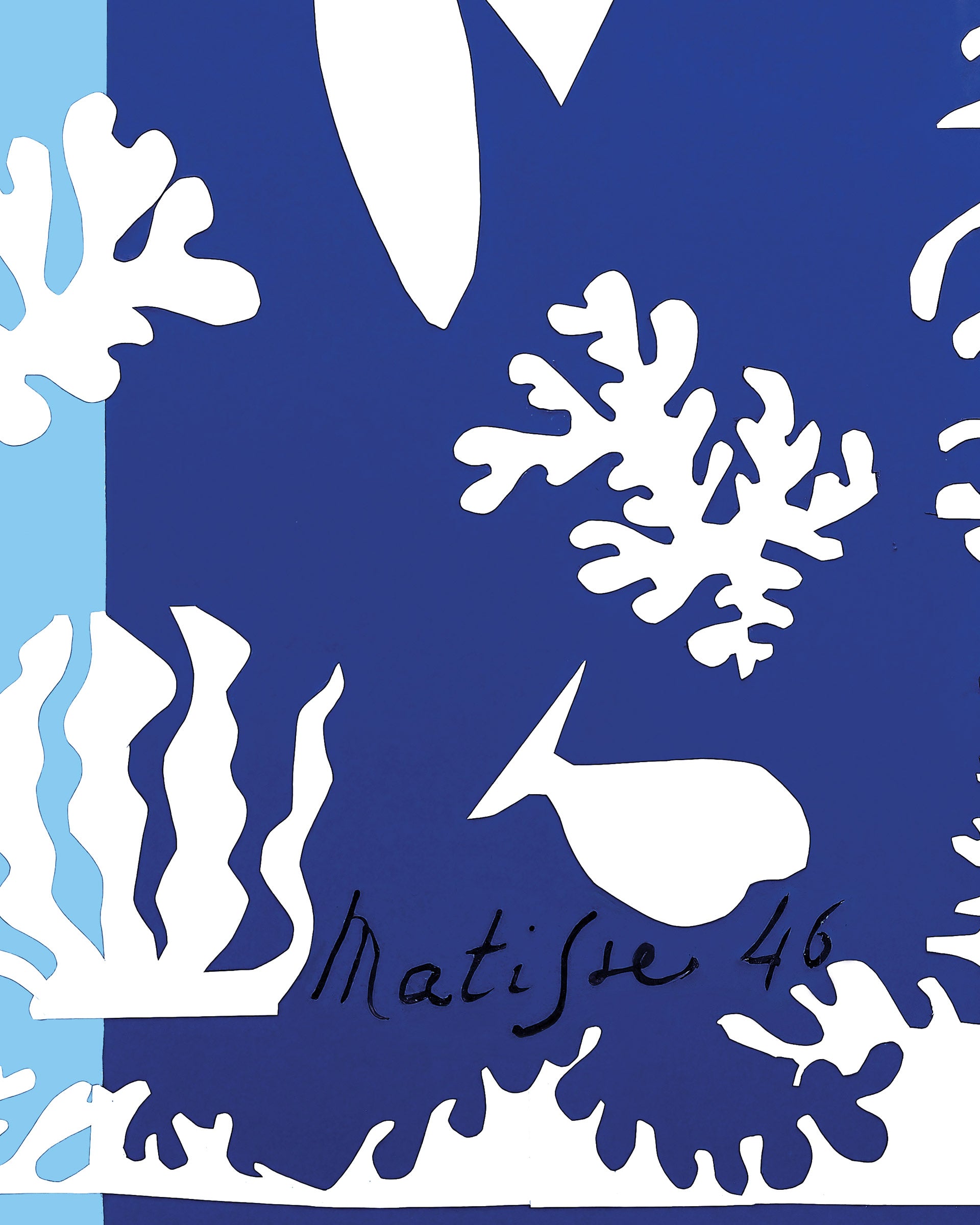 Abstract design with white coral-like shapes on a blue background, featuring the name 'Matisse' and the number '46'.