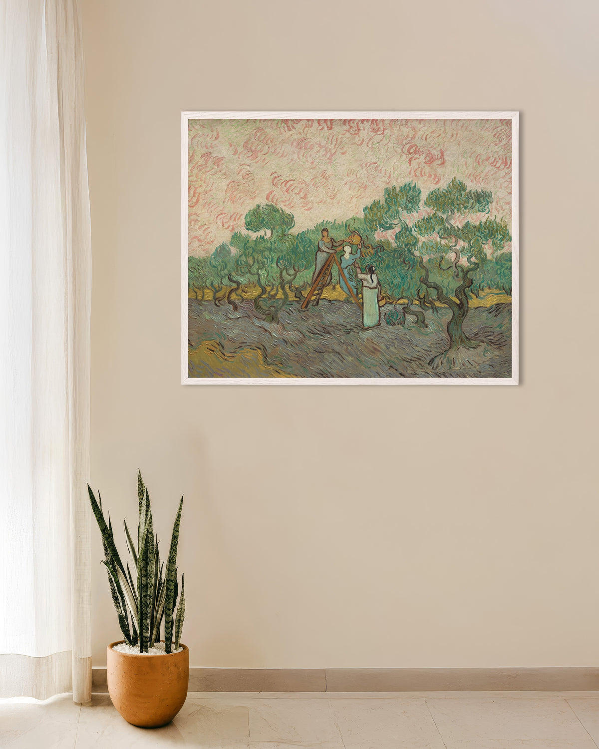 Poster of Women Picking Olives (1889) by Vincent van Gogh, with white wooden frame