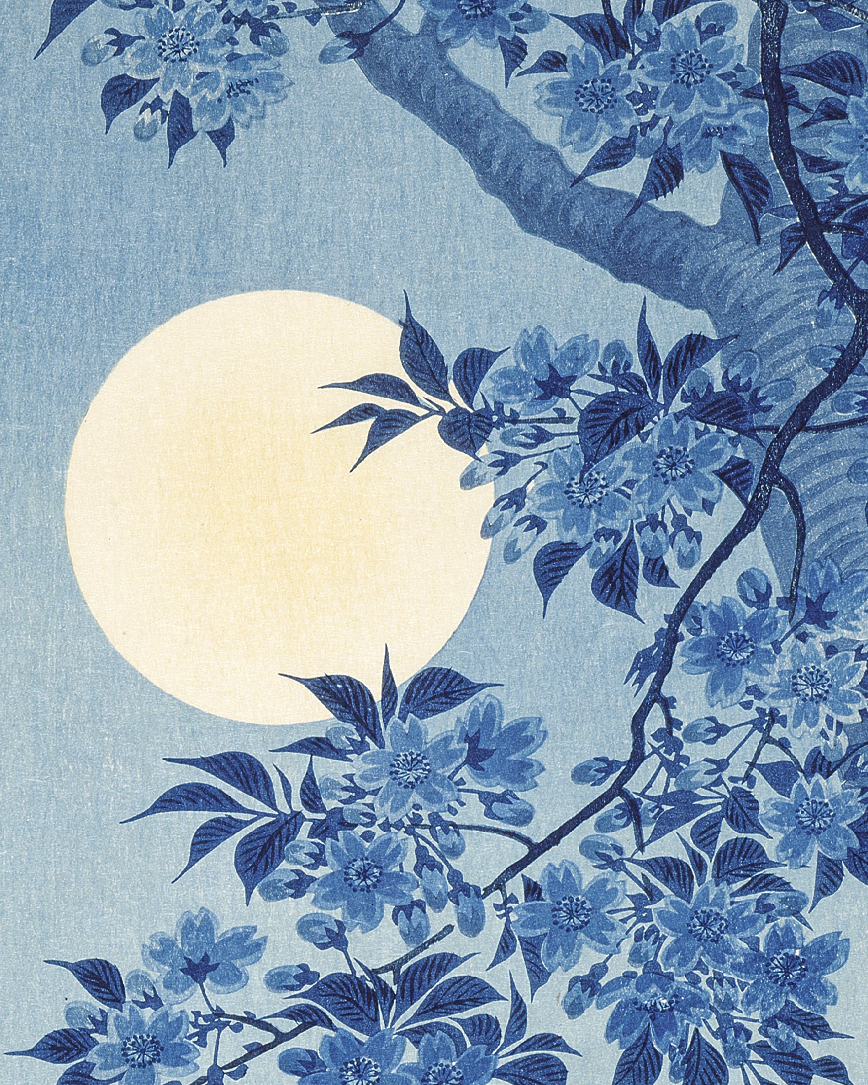 Cherry Blossoms in the Moonlight, Ohara Koson – Print