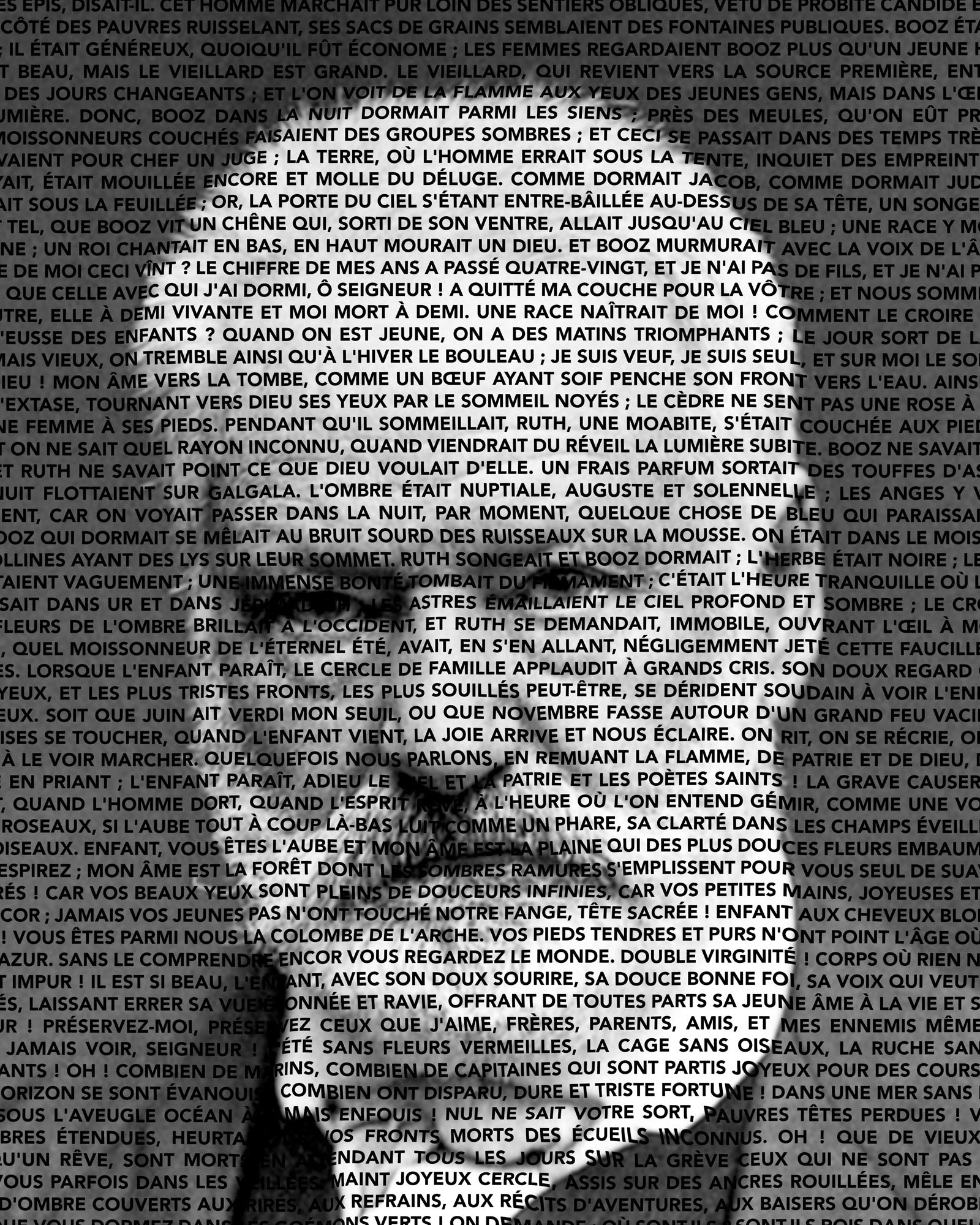 Victor Hugo - The Contemplations Typographic Portrait