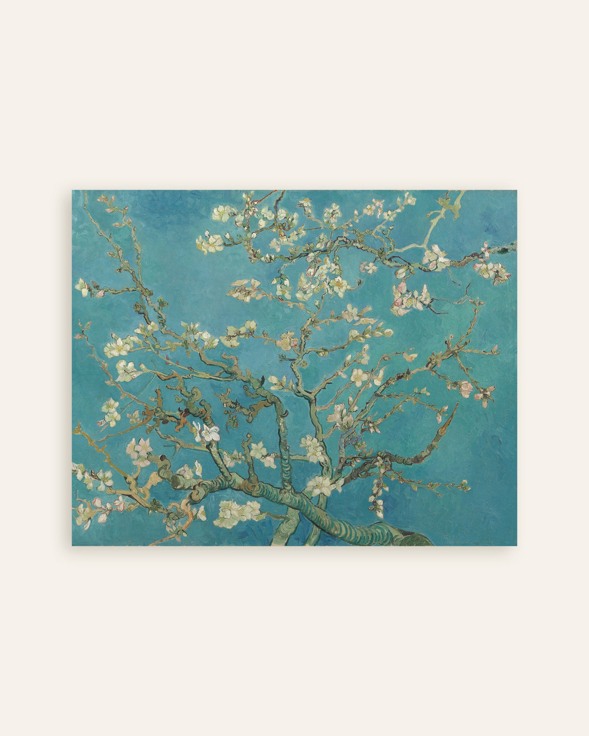 Poster of Almond Blossom (1890) by Vincent van Gogh, thumbnail