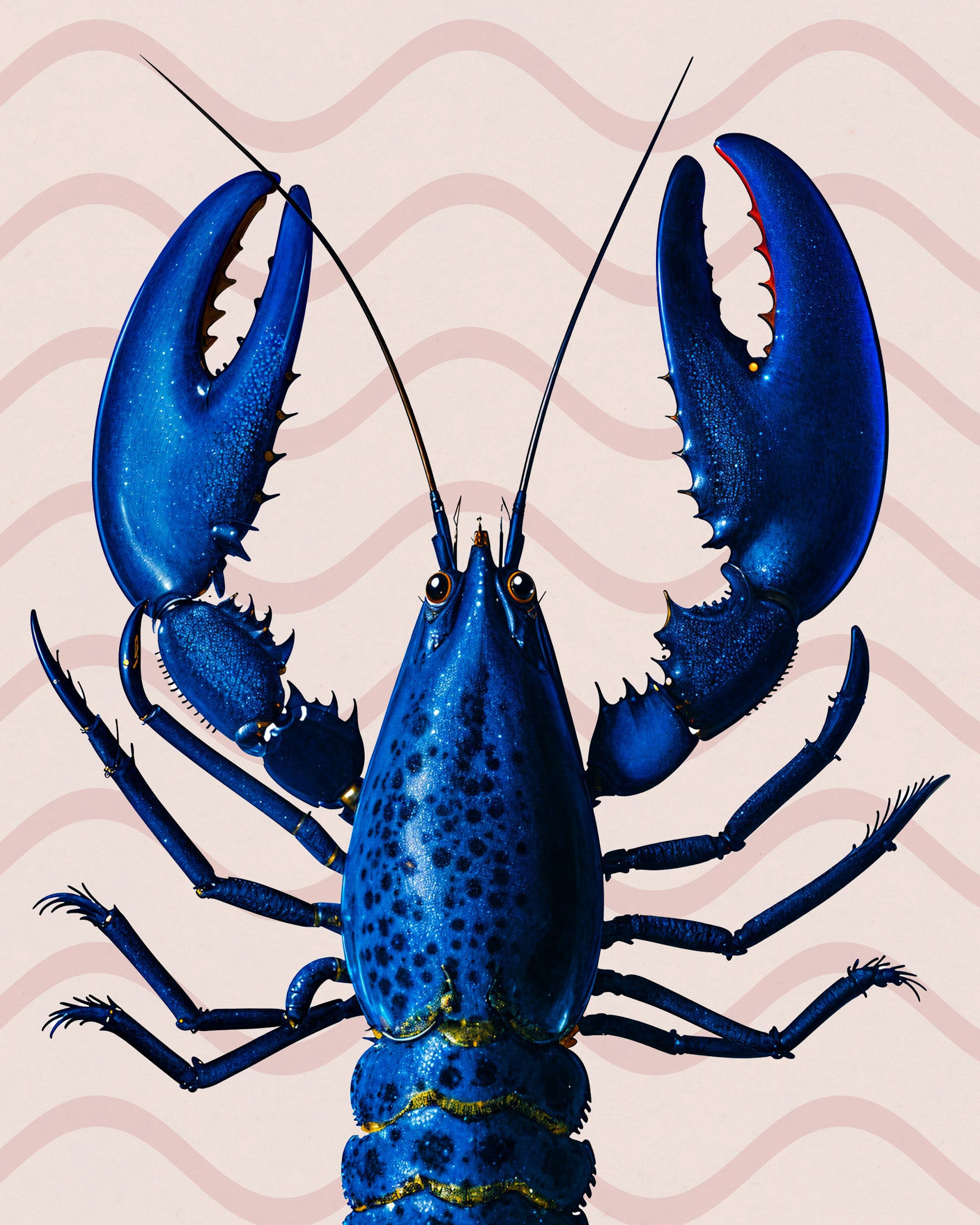 Blue Lobster Print