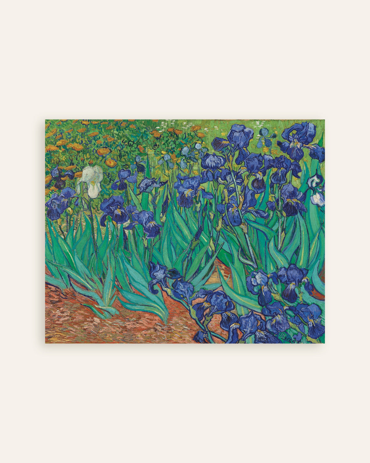 Poster of Irises (1889) by Vincent van Gogh, thumbnail