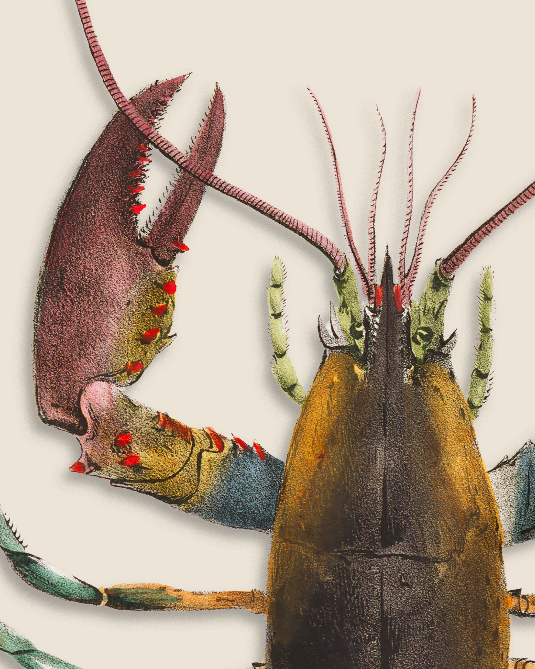 Le Homard Print
