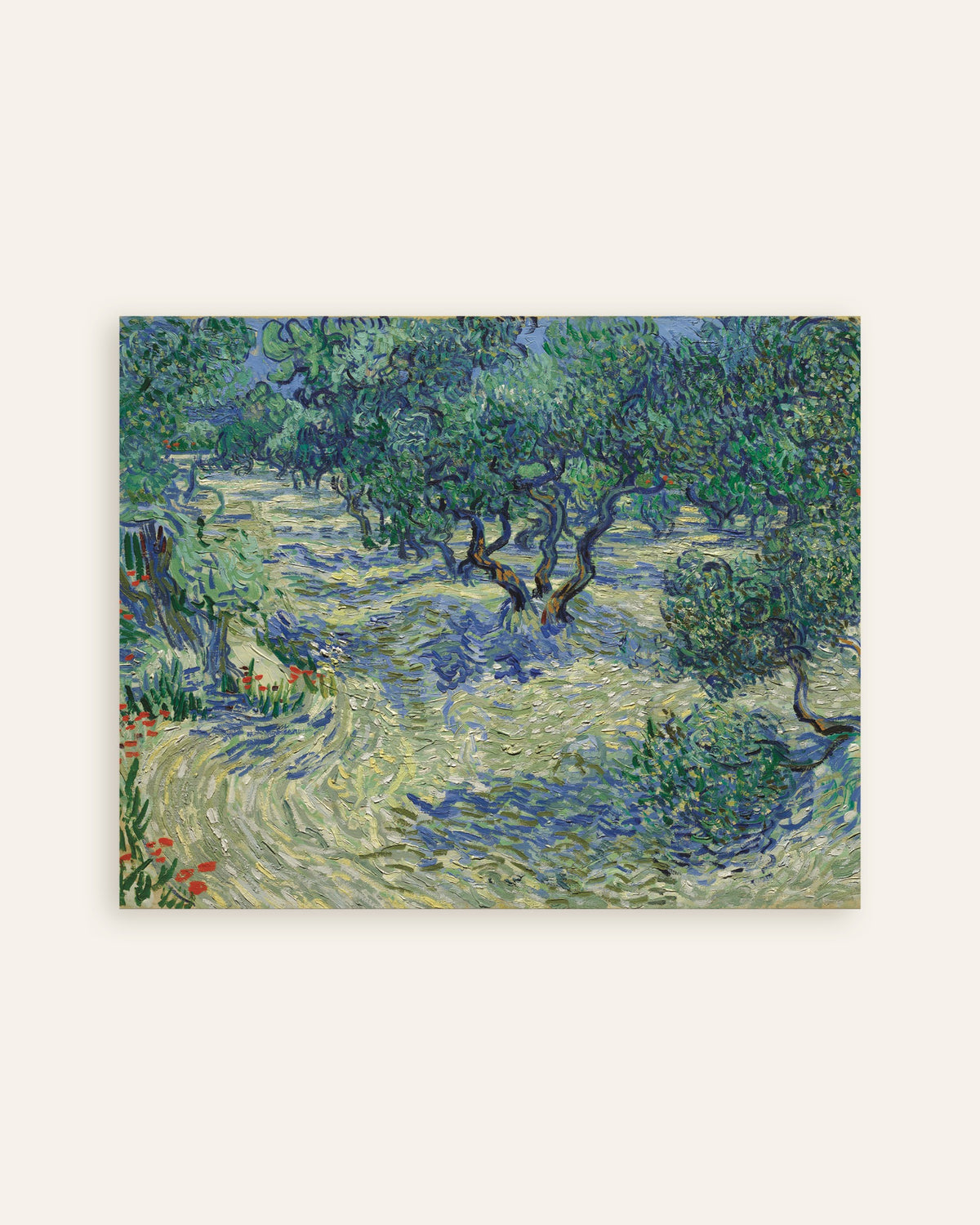 Poster of Olive Orchard (1889) by Vincent van Gogh, thumbnail