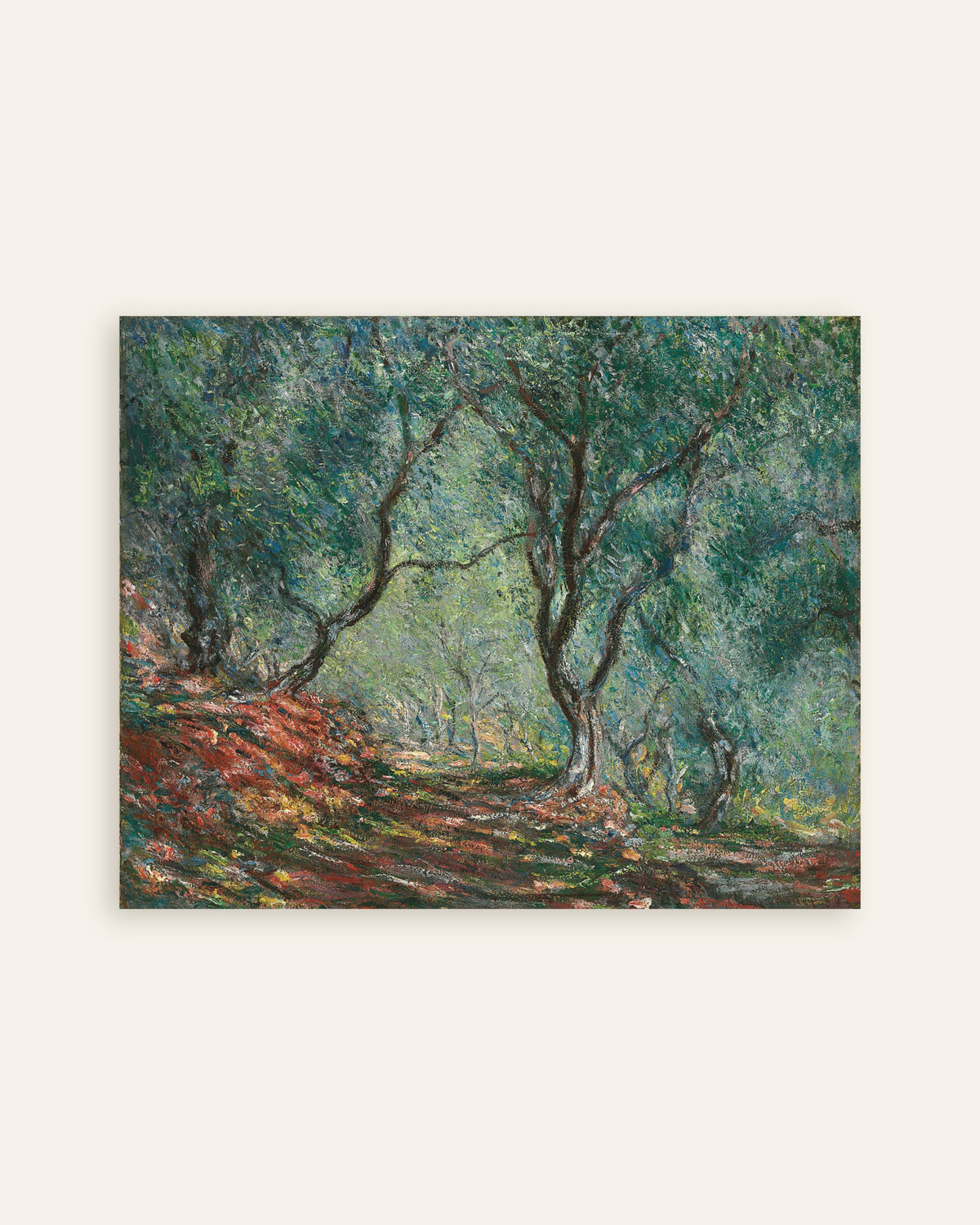 Poster of Olive Trees in the Moreno Garden (1884) by Claude Monet, thumbnail