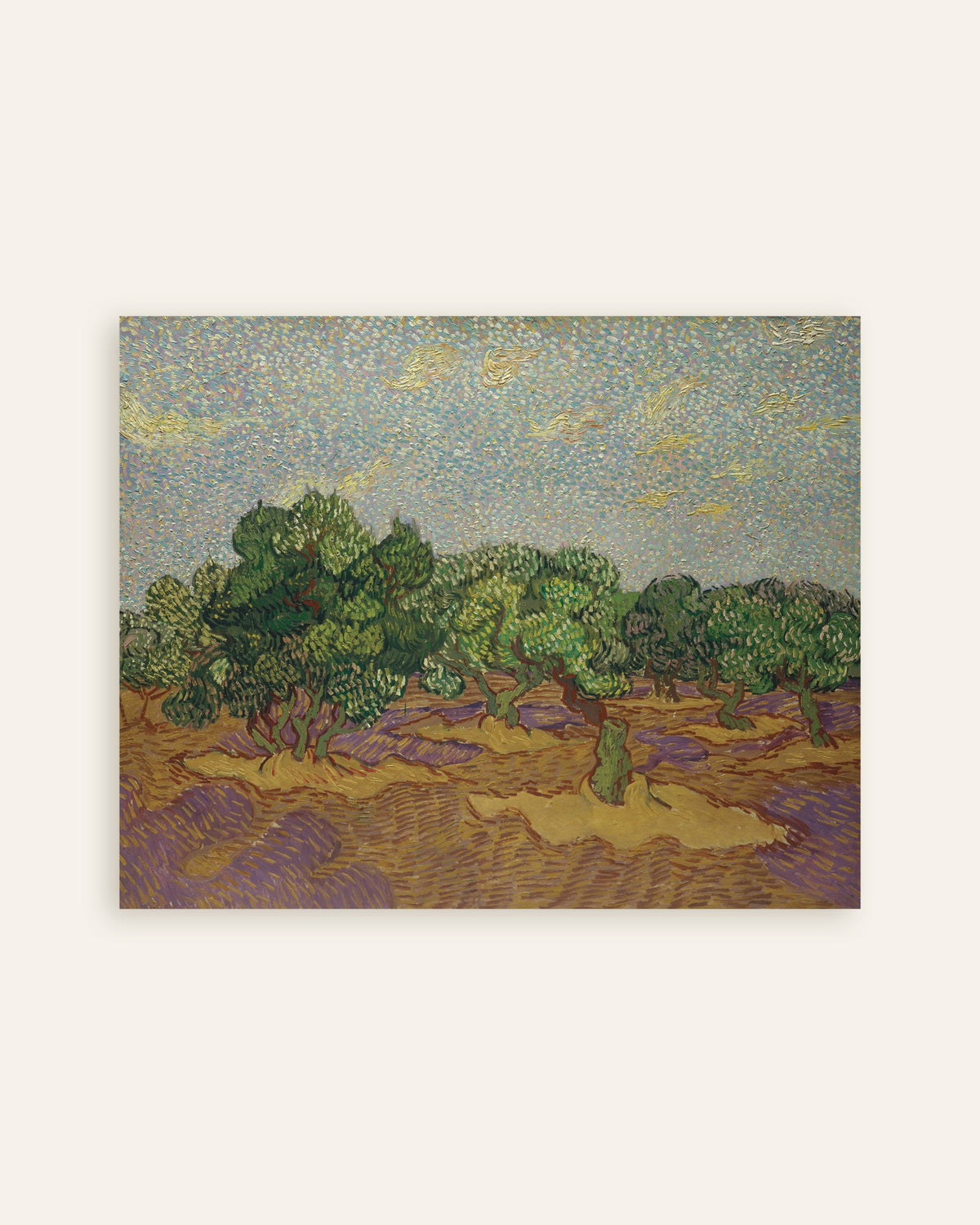 Poster of Olive Trees under a Pale Sky (1889) by Vincent van Gogh, thumbnail