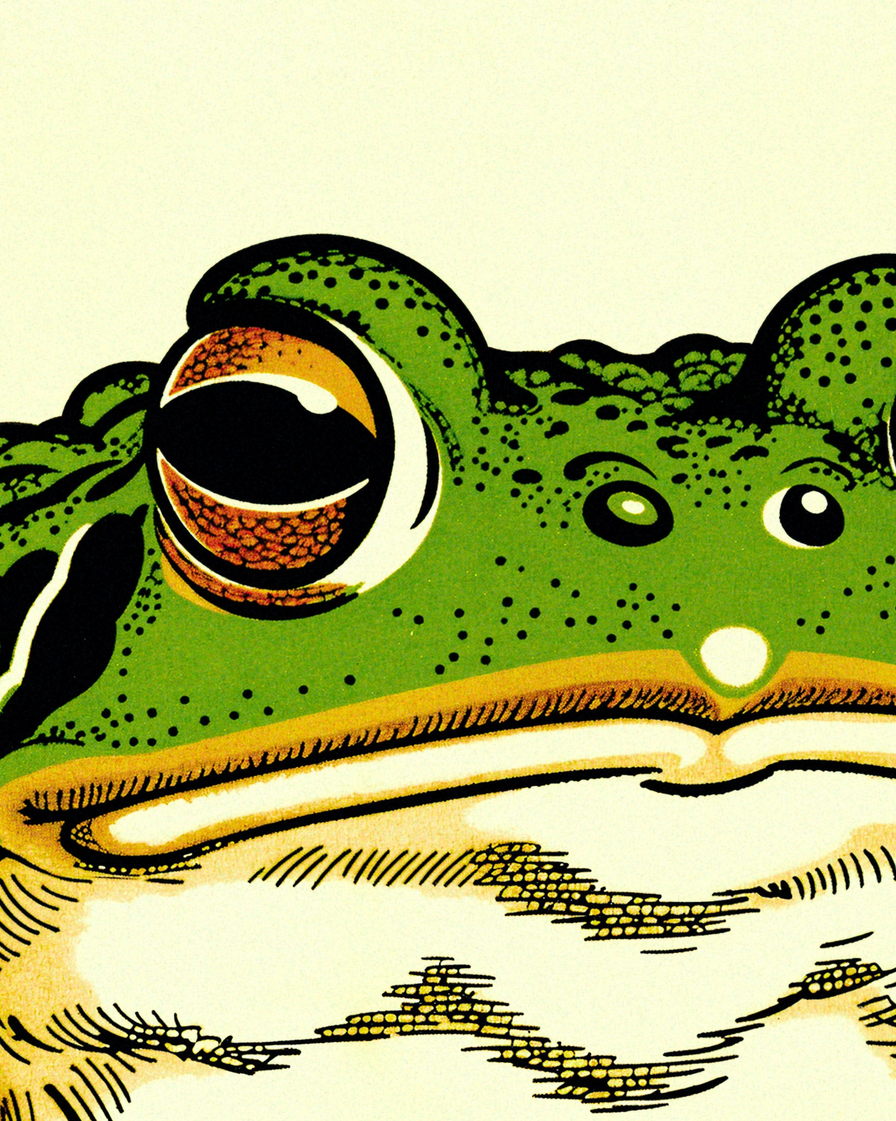 Japanese toad 01 - Poster