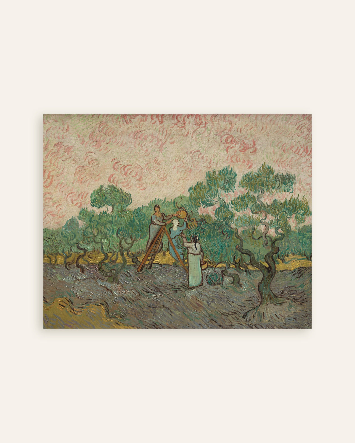 Poster of Women Picking Olives (1889) by Vincent van Gogh, thumbnail